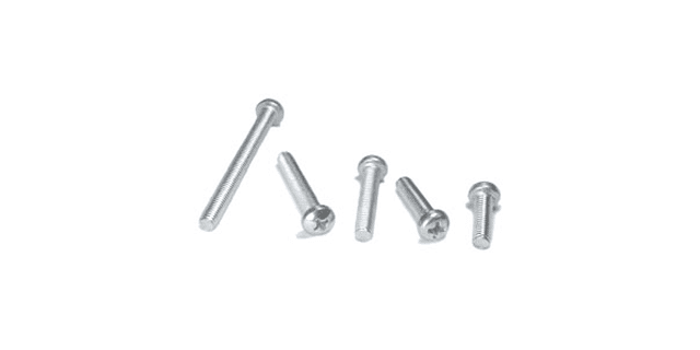 TORNILLO PHILIPS CABEZA CILINDRICA M5x20 Paquete x 10